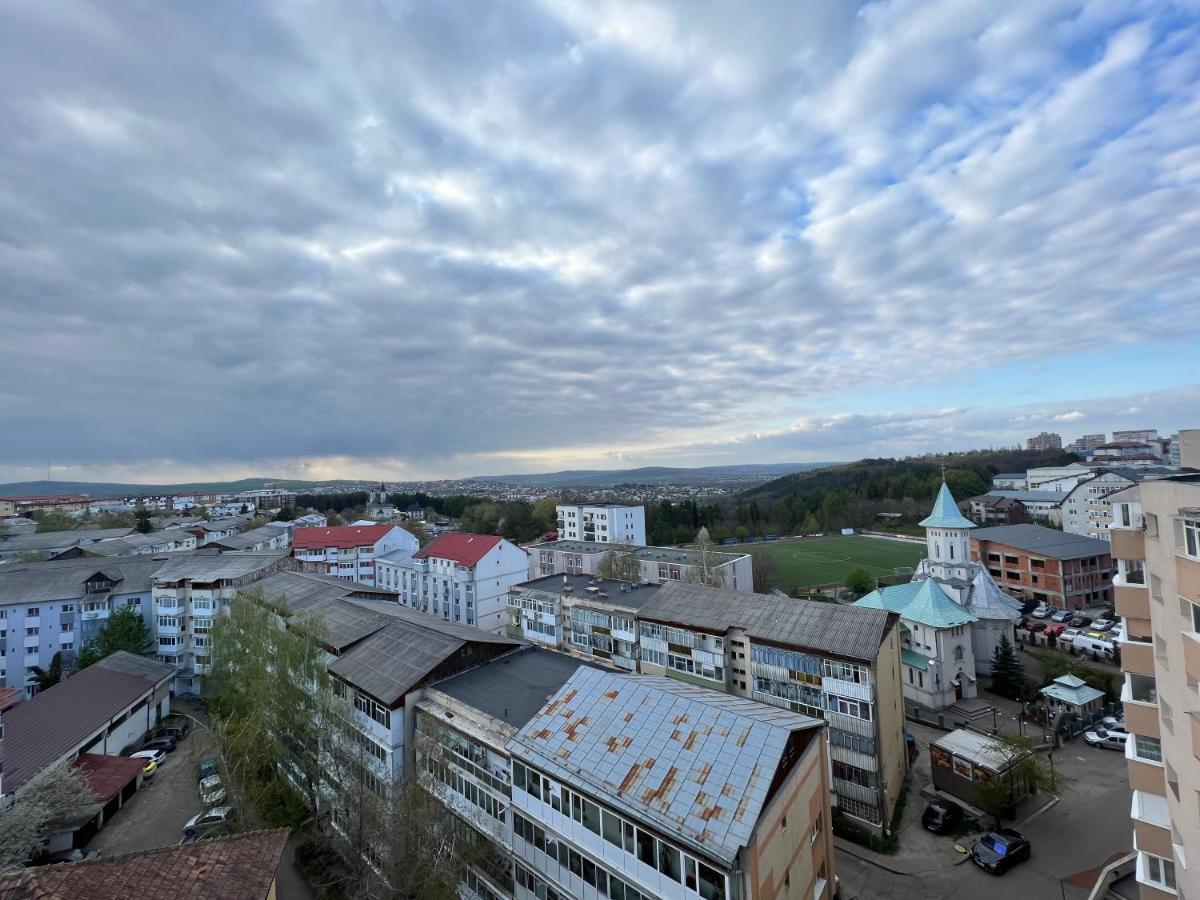 Sunny Luxury Home G. Enescu Suceava Exterior photo