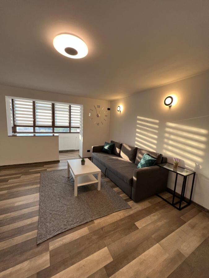 Sunny Luxury Home G. Enescu Suceava Exterior photo