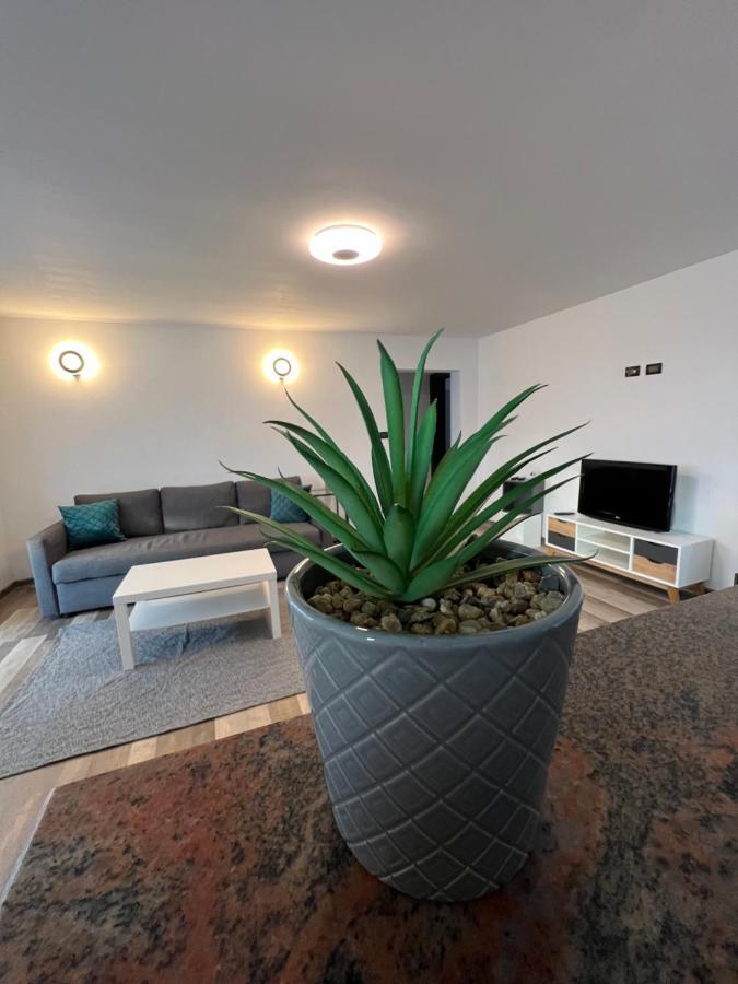 Sunny Luxury Home G. Enescu Suceava Exterior photo